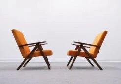 Mid Century Easy Chair Model B 310 Var In Sunset Velvet -Chairly Shop 01bb406c 9924 4e0b 9d99 af03e976c4c7