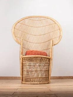 Emmanuelle Armchair 18 Emmanuelle Armchair -Chairly Shop 1fff4795 9898 4e2c bdec c7251787fb45