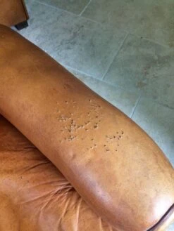 2 Leather Club Armchairs -Chairly Shop 2387c4d7 529f 4713 8c61 873d87c4e621