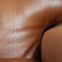 Vintage Buffalo Leather Arcon Lounge Chairs, 1970s -Chairly Shop 6d1d68ce 6229 4d3a 9afc f58bea214a52