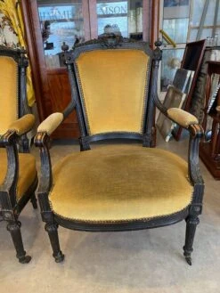 Pair Of Louis Xvi Style Bergeres Armchairs Late 19th Century Ocher Velvet Fabric -Chairly Shop 6d53fbb5 8a63 4d7e bf55 9be157eb6280