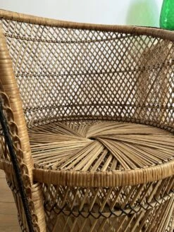 VINTAGE PALM TREE ARMCHAIR IN BURI -Chairly Shop 70fd8dc3 2995 412f b9ad 31ba790878f8