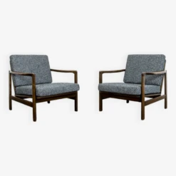 Pair Of Restored Mid Century Armchairs By Zenon BΔ
czyk, 1960's