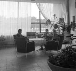 Fauteuils Vintage En Cuir Bordeaux De Style Bauhaus Par József Peresztegi, Hongrie 1950, -Chairly Shop 8d6d43b3 3818 4220 910d 47c30ff27de8