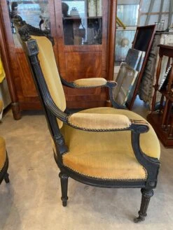Pair Of Louis Xvi Style Bergeres Armchairs Late 19th Century Ocher Velvet Fabric -Chairly Shop a431eacc 0330 4a5c a491 9294c942918b