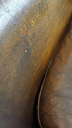 Set Of Two Large, Rugged, Dark Sheepskin Leather Club Armchairs -Chairly Shop bcd31000 cf2f 450d 8fd0 25450d501374