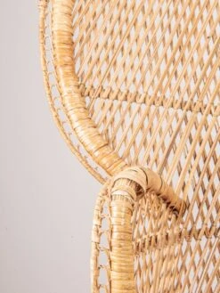 Emmanuelle Armchair 21 Emmanuelle Armchair -Chairly Shop c2472837 5df9 4141 a59a 092186b5ece1