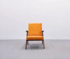 Mid Century Easy Chair Model B 310 Var In Sunset Velvet -Chairly Shop c93c12ac eae5 4c7e bfc9 09aa34c95484