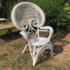 Peacock Rattan Armchair -Chairly Shop ce25482b 13e5 45ef bc26 db60cdb2f146