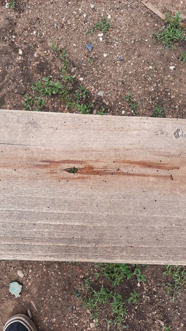 Child School Bench 16 Child School Bench - Image 14